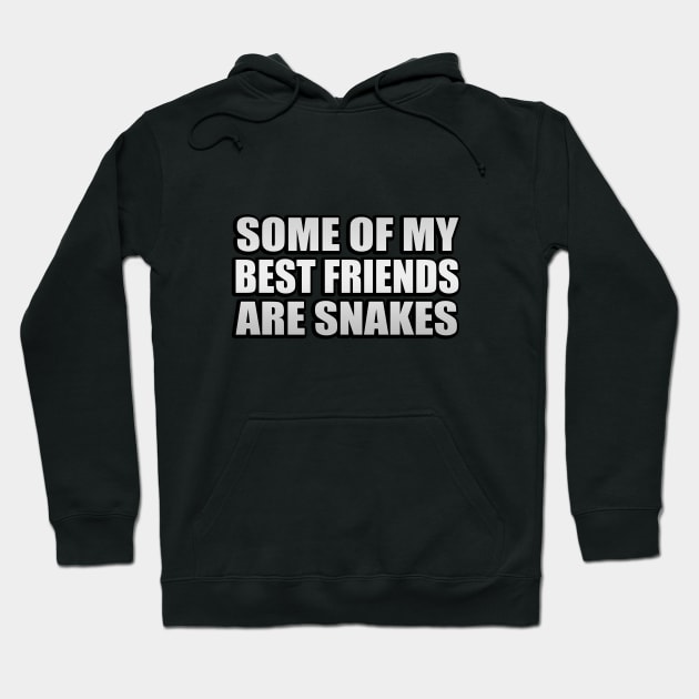 Some Of My Best Friends Are Snakes Funny Quote Hoodie by It'sMyTime